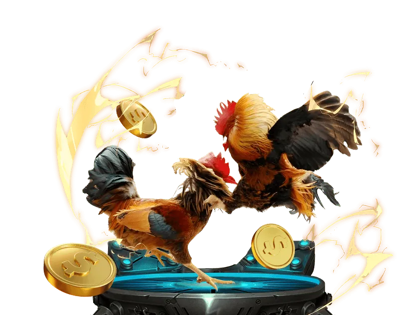 Đa dạng kèo cược đá gà tại Kubet